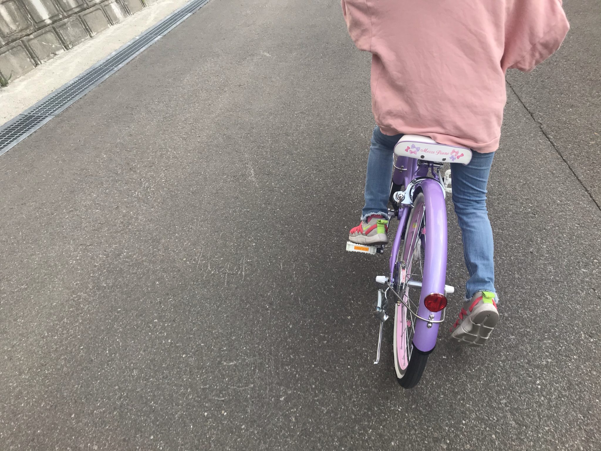 自転車 乗れる よう に なる 方法 大人